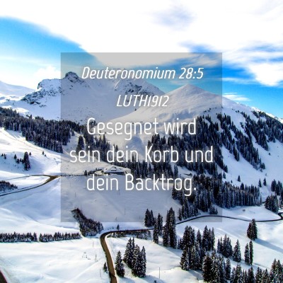 Picture 04 - Deuteronomium 28:5 LUTH1912 - Gesegnet wird sein dein Korb und dein - Bible Verse Picture