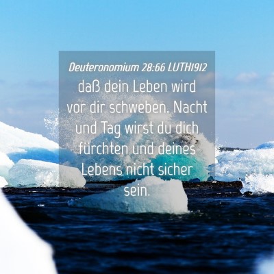 Picture 04 - Deuteronomium 28:66 LUTH1912 - daß dein Leben wird vor dir schweben. Nacht und - Bible Verse Picture
