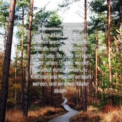 Picture 04 - Deuteronomium 28:68 LUTH1912 - Und der HERR wird dich mit Schiffen wieder nach - Bible Verse Picture