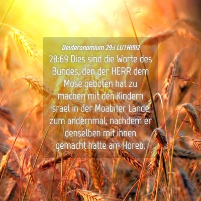 Picture 04 - Deuteronomium 29:1 LUTH1912 - 28:69 Dies sind die Worte des Bundes, den der - Bible Verse Picture