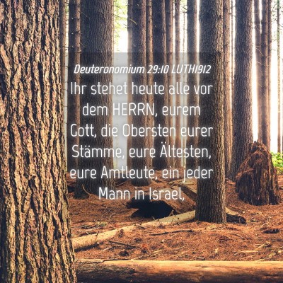 Picture 04 - Deuteronomium 29:10 LUTH1912 - Ihr stehet heute alle vor dem HERRN, eurem Gott, - Bible Verse Picture