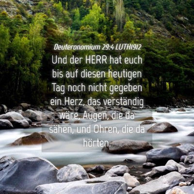 Picture 04 - Deuteronomium 29:4 LUTH1912 - Und der HERR hat euch bis auf diesen heutigen Tag - Bible Verse Picture