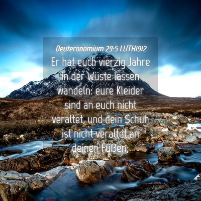 Picture 04 - Deuteronomium 29:5 LUTH1912 - Er hat euch vierzig Jahre in der Wüste lassen - Bible Verse Picture