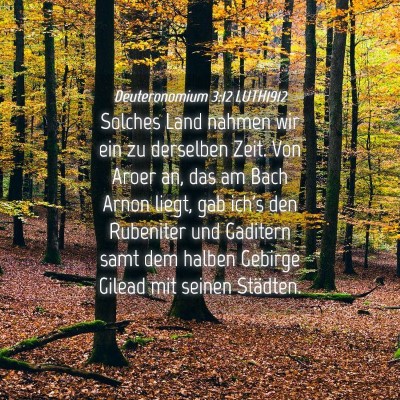 Picture 04 - Deuteronomium 3:12 LUTH1912 - Solches Land nahmen wir ein zu derselben Zeit. - Bible Verse Picture