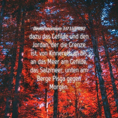 Picture 04 - Deuteronomium 3:17 LUTH1912 - dazu das Gefilde und den Jordan, der die Grenze - Bible Verse Picture