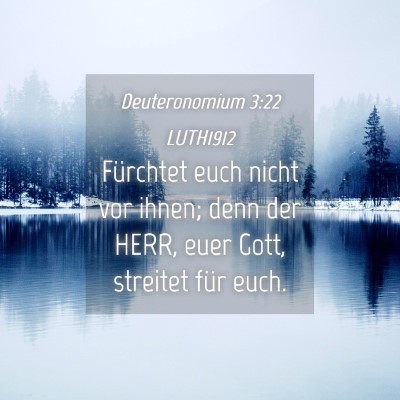 Picture 04 - Deuteronomium 3:22 LUTH1912 - Fürchtet euch nicht vor ihnen; denn der HERR, - Bible Verse Picture