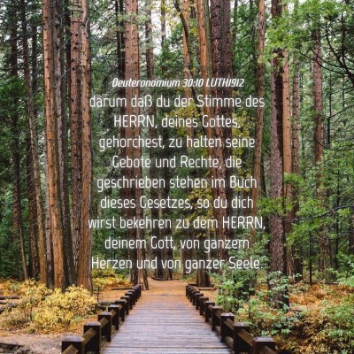 Picture 04 - Deuteronomium 30:10 LUTH1912 - darum daß du der Stimme des HERRN, deines - Bible Verse Picture