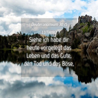 Picture 04 - Deuteronomium 30:15 LUTH1912 - Siehe ich habe dir heute vorgelegt das Leben und - Bible Verse Picture
