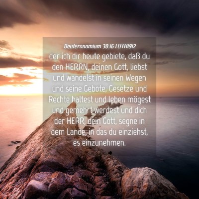 Picture 04 - Deuteronomium 30:16 LUTH1912 - der ich dir heute gebiete, daß du den HERRN, - Bible Verse Picture
