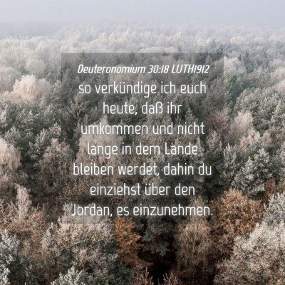Picture 04 - Deuteronomium 30:18 LUTH1912 - so verkündige ich euch heute, daß ihr umkommen - Bible Verse Picture
