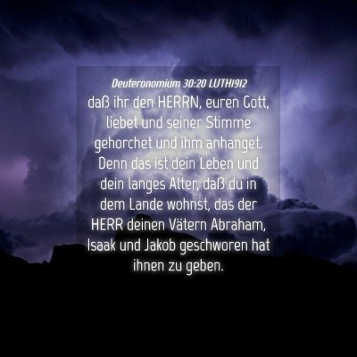 Picture 04 - Deuteronomium 30:20 LUTH1912 - daß ihr den HERRN, euren Gott, liebet und seiner - Bible Verse Picture
