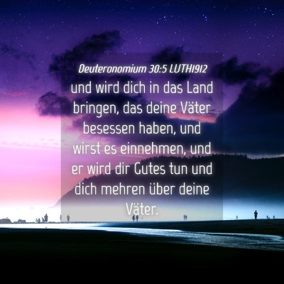 Picture 04 - Deuteronomium 30:5 LUTH1912 - und wird dich in das Land bringen, das deine - Bible Verse Picture