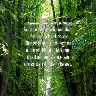 Picture 04 - Deuteronomium 31:19 LUTH1912 - So schreibt euch nun dies Lied und lehret es die - Bible Verse Picture