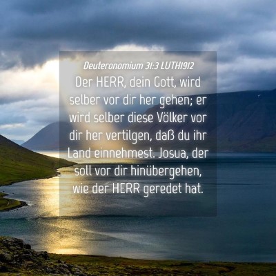 Picture 04 - Deuteronomium 31:3 LUTH1912 - Der HERR, dein Gott, wird selber vor dir her - Bible Verse Picture