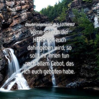 Picture 04 - Deuteronomium 31:5 LUTH1912 - Wenn sie nun der HERR vor euch dahingeben wird, - Bible Verse Picture