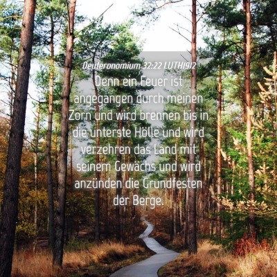 Picture 04 - Deuteronomium 32:22 LUTH1912 - Denn ein Feuer ist angegangen durch meinen Zorn - Bible Verse Picture