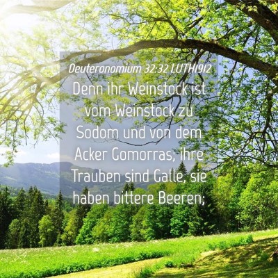 Picture 04 - Deuteronomium 32:32 LUTH1912 - Denn ihr Weinstock ist vom Weinstock zu Sodom und - Bible Verse Picture