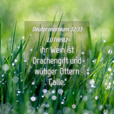 Picture 04 - Deuteronomium 32:33 LUTH1912 - ihr Wein ist Drachengift und wütiger Ottern - Bible Verse Picture