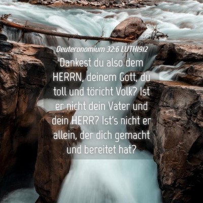 Picture 04 - Deuteronomium 32:6 LUTH1912 - Dankest du also dem HERRN, deinem Gott, du toll - Bible Verse Picture