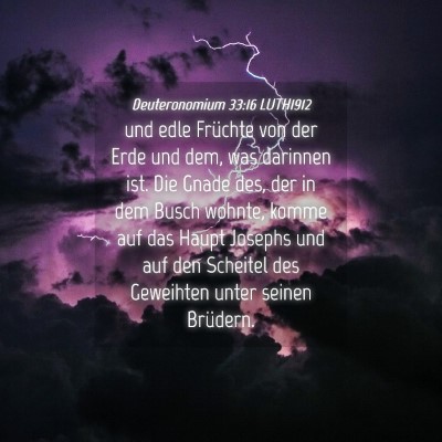 Picture 04 - Deuteronomium 33:16 LUTH1912 - und edle Früchte von der Erde und dem, was - Bible Verse Picture