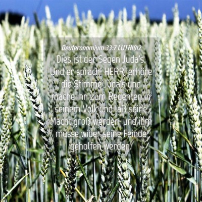 Picture 04 - Deuteronomium 33:7 LUTH1912 - Dies ist der Segen Juda's. Und er sprach: HERR, - Bible Verse Picture