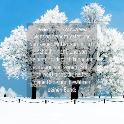 Picture 04 - Deuteronomium 33:9 LUTH1912 - Wer von seinem Vater und von seiner Mutter - Bible Verse Picture
