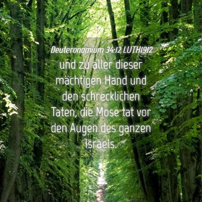 Picture 04 - Deuteronomium 34:12 LUTH1912 - und zu aller dieser mächtigen Hand und den - Bible Verse Picture