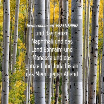 Picture 04 - Deuteronomium 34:2 LUTH1912 - und das ganze Naphthali und das Land Ephraim und - Bible Verse Picture