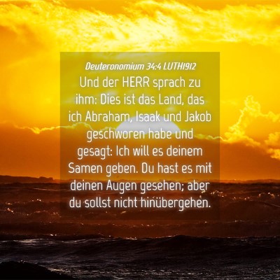 Picture 04 - Deuteronomium 34:4 LUTH1912 - Und der HERR sprach zu ihm: Dies ist das Land, - Bible Verse Picture
