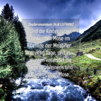 Picture 04 - Deuteronomium 34:8 LUTH1912 - Und die Kinder Israel beweinten Mose im Gefilde - Bible Verse Picture