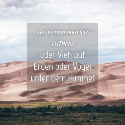 Picture 04 - Deuteronomium 4:17 LUTH1912 - oder Vieh auf Erden oder Vogel unter dem - Bible Verse Picture