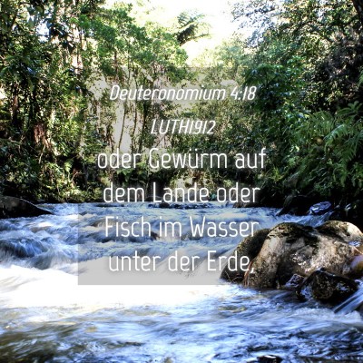 Picture 04 - Deuteronomium 4:18 LUTH1912 - oder Gewürm auf dem Lande oder Fisch im Wasser - Bible Verse Picture