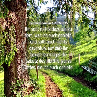 Picture 04 - Deuteronomium 4:2 LUTH1912 - Ihr sollt nichts dazutun zu dem, was ich euch - Bible Verse Picture