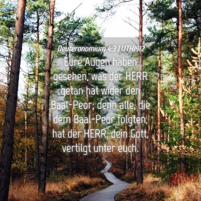 Picture 04 - Deuteronomium 4:3 LUTH1912 - Eure Augen haben gesehen, was der HERR getan hat - Bible Verse Picture
