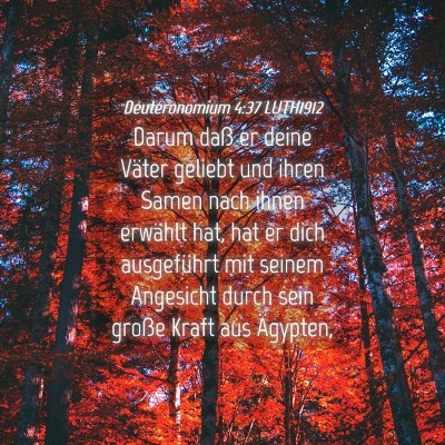 Picture 04 - Deuteronomium 4:37 LUTH1912 - Darum daß er deine Väter geliebt und ihren - Bible Verse Picture
