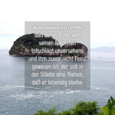 Picture 04 - Deuteronomium 4:42 LUTH1912 - daß dahin flöhe, wer seinen Nächsten - Bible Verse Picture