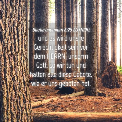Picture 04 - Deuteronomium 6:25 LUTH1912 - und es wird unsre Gerechtigkeit sein vor dem - Bible Verse Picture
