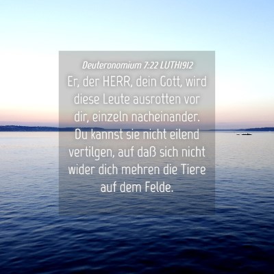 Picture 04 - Deuteronomium 7:22 LUTH1912 - Er, der HERR, dein Gott, wird diese Leute - Bible Verse Picture