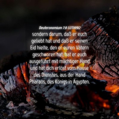 Picture 04 - Deuteronomium 7:8 LUTH1912 - sondern darum, daß er euch geliebt hat und daß - Bible Verse Picture