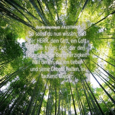 Picture 04 - Deuteronomium 7:9 LUTH1912 - So sollst du nun wissen, daß der HERR, dein - Bible Verse Picture