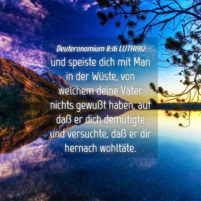 Picture 04 - Deuteronomium 8:16 LUTH1912 - und speiste dich mit Man in der Wüste, von - Bible Verse Picture