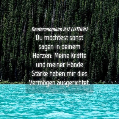 Picture 04 - Deuteronomium 8:17 LUTH1912 - Du möchtest sonst sagen in deinem Herzen: Meine - Bible Verse Picture