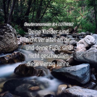 Picture 04 - Deuteronomium 8:4 LUTH1912 - Deine Kleider sind nicht veraltet an dir, und - Bible Verse Picture