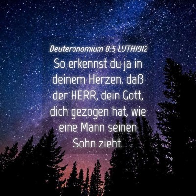 Picture 04 - Deuteronomium 8:5 LUTH1912 - So erkennst du ja in deinem Herzen, daß der - Bible Verse Picture