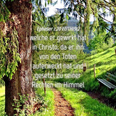 Picture 04 - Epheser 1:20 LUTH1912 - welche er gewirkt hat in Christo, da er ihn von - Bible Verse Picture