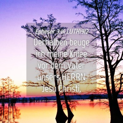 Picture 04 - Epheser 3:14 LUTH1912 - Derhalben beuge ich meine Kniee vor dem Vater - Bible Verse Picture