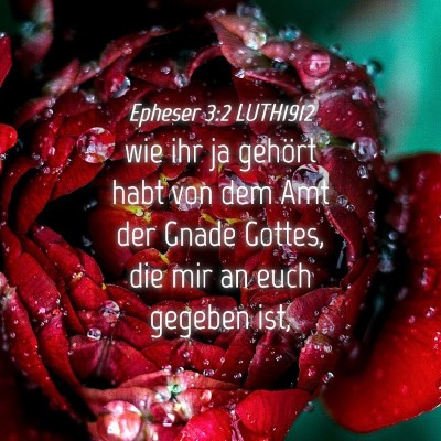 Picture 04 - Epheser 3:2 LUTH1912 - wie ihr ja gehört habt von dem Amt der Gnade - Bible Verse Picture