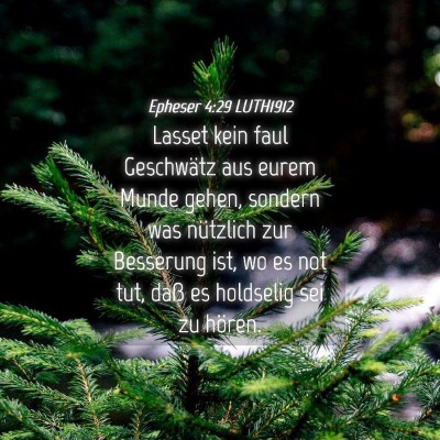 Picture 04 - Epheser 4:29 LUTH1912 - Lasset kein faul Geschwätz aus eurem Munde - Bible Verse Picture