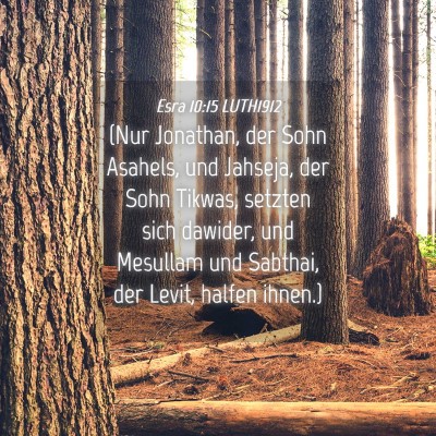 Picture 04 - Esra 10:15 LUTH1912 - (Nur Jonathan, der Sohn Asahels, und Jahseja, der - Bible Verse Picture