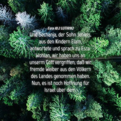 Picture 04 - Esra 10:2 LUTH1912 - Und Sechanja, der Sohn Jehiels, aus den Kindern - Bible Verse Picture